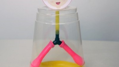 척추골반모형 득템 후기!✨ 허리 건강 지킴이 특가 정보🎁