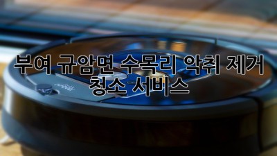 부여 규암면 수목리 악취 제거 청소 서비스